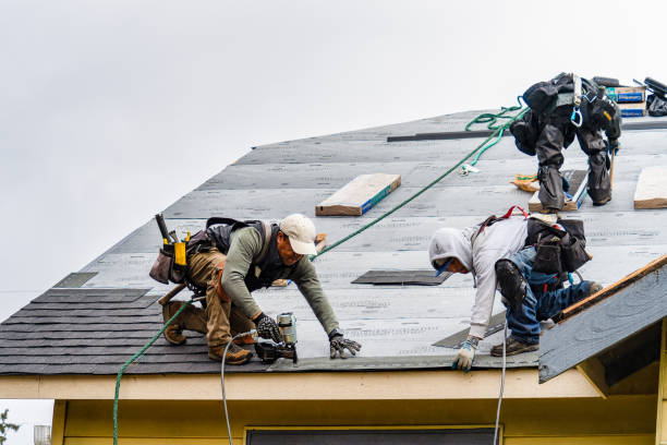 Professional Roofing technician working in Thornton, WA